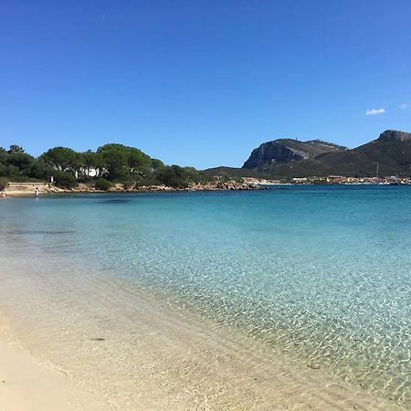 Apartmán Tramontana Vista Mare 300M Dalla Spiaggia Golfo Aranci Exteriér fotografie